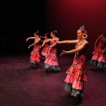 XIX Festival de Danza de COPPELIA