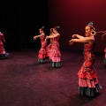 XIX Festival de Danza de COPPELIA