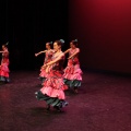 XIX Festival de Danza de COPPELIA