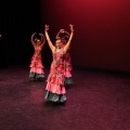 XIX Festival de Danza de COPPELIA