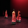 XIX Festival de Danza de COPPELIA