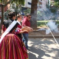 Castellón, Sant Pere 2015