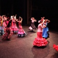 Castellón,  XIX Festival de Danza de COPPELIA