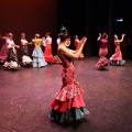 Castellón,  XIX Festival de Danza de COPPELIA