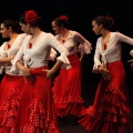 Castellón,  XIX Festival de Danza de COPPELIA