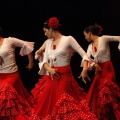 Castellón,  XIX Festival de Danza de COPPELIA