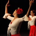 Castellón,  XIX Festival de Danza de COPPELIA