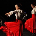 Castellón,  XIX Festival de Danza de COPPELIA