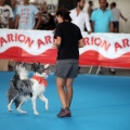 Concurso canino Castellón