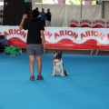 Concurso canino Castellón