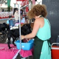 Concurso canino Castellón