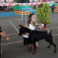 Concurso canino Castellón