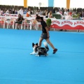 Concurso canino Castellón