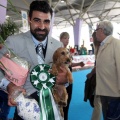 Concurso canino Castellón