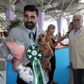 Concurso canino Castellón