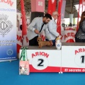 Concurso canino Castellón