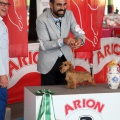 Concurso canino Castellón