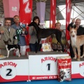 Concurso canino Castellón