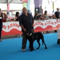 Concurso canino Castellón