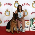 Concurso canino Castellón