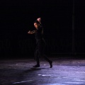 Danza FIB