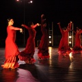 Danza FIB