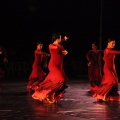 Danza FIB