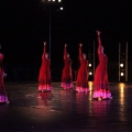 Danza FIB