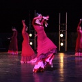 Danza FIB