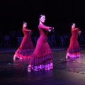 Danza FIB