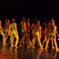 Danza FIB