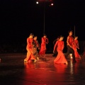 Danza FIB