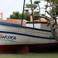 Moncofa