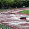 XCV Campeonato de España absoluto de atletismo