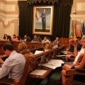 Pleno Ayuntamiento Castellón