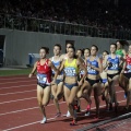 Campeonato de España absoluto Castellón 2015