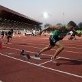 Campeonato de España absoluto Castellón 2015