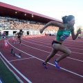 Campeonato de España absoluto Castellón 2015