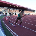 Campeonato de España absoluto Castellón 2015