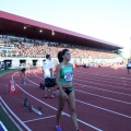 Campeonato de España absoluto Castellón 2015