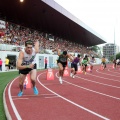 Campeonato de España absoluto Castellón 2015