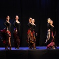 Compañía G9 DANZA