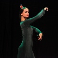Compañía G9 DANZA