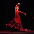 Compañía G9 DANZA