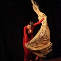 Compañía G9 DANZA