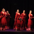 Compañía G9 DANZA