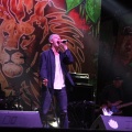 Castellón, Rototom Sunsplash Benicàssim