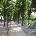 Castellón, 2015