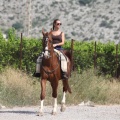 Castellón, 2015