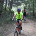 Castellón, 2015
